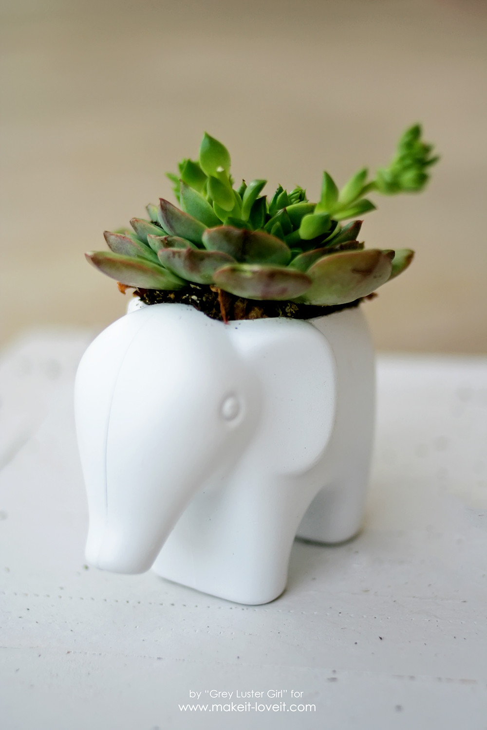 Best ideas about DIY Succulent Planter
. Save or Pin DIY Toy Elephant Succulent Planter Now.