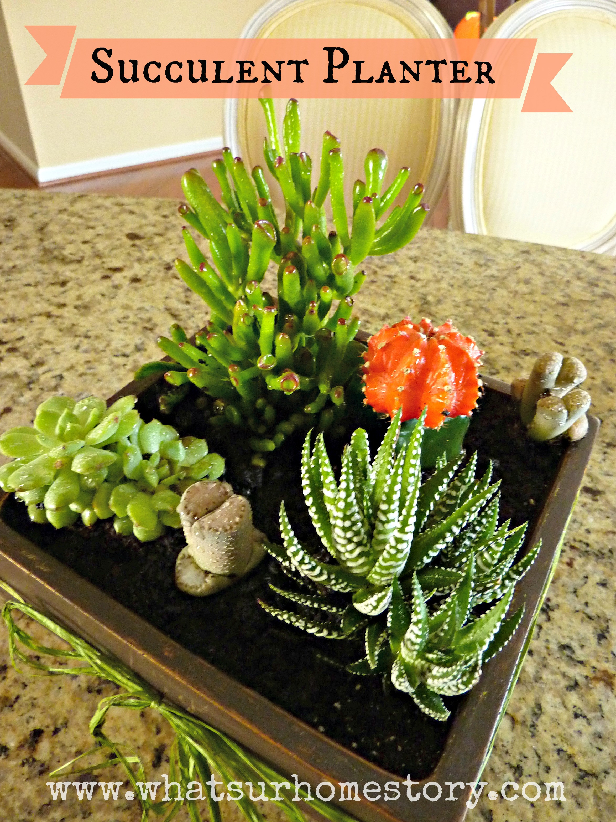Best ideas about DIY Succulent Planter
. Save or Pin How to Make a Simple Succulent Planter Now.