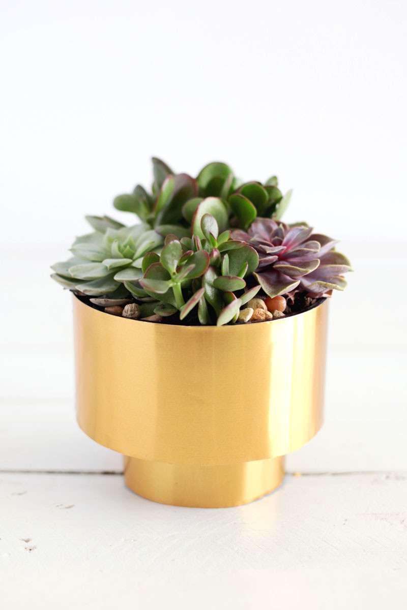 Best ideas about DIY Succulent Planter
. Save or Pin Brass Succulent Planter DIY – A Beautiful Mess Now.