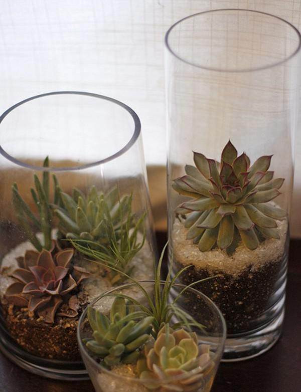 Best ideas about DIY Succulent Planter
. Save or Pin 15 Best Indoor Succulent Planting Ideas That Can Beautify Now.