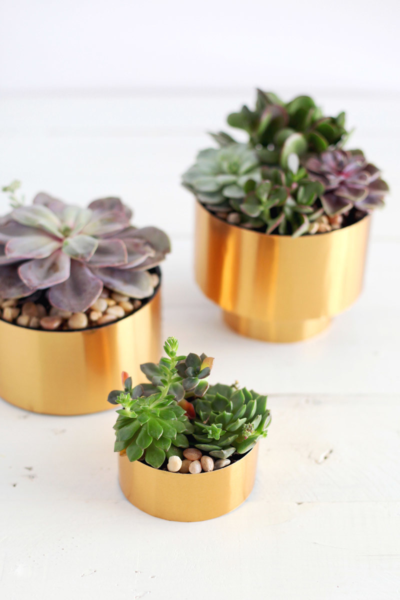 Best ideas about DIY Succulent Planter
. Save or Pin 11 Adorable DIY pots for your spring and summer succulents Now.