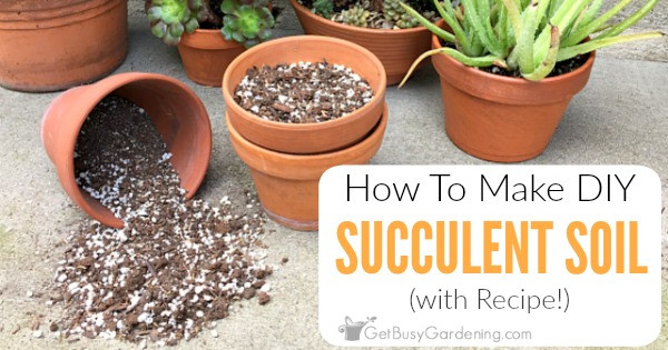 Best ideas about DIY Succulent Soil
. Save or Pin How To Make Your Own Succulent Soil With Recipe Get Now.