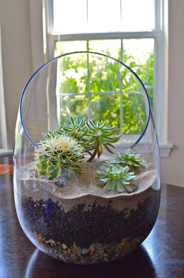 Best ideas about DIY Succulent Terrariums
. Save or Pin Succulent terrarium ideas small garden ideas Now.