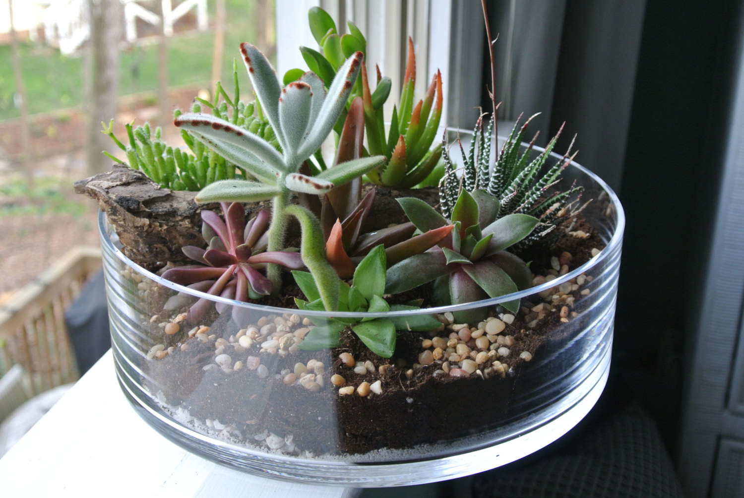 Best ideas about DIY Succulent Terrariums
. Save or Pin The Grande Green Succulent Terrarium DIY Centerpiece Now.