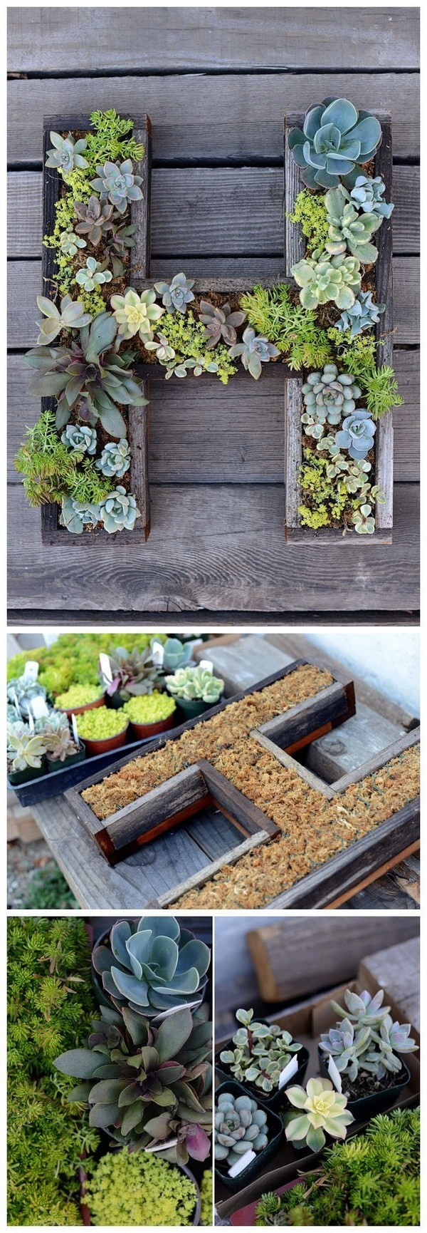 Best ideas about DIY Succulent Wall
. Save or Pin 20 Best DIY Decorative Letters with Lots of Tutorials Now.