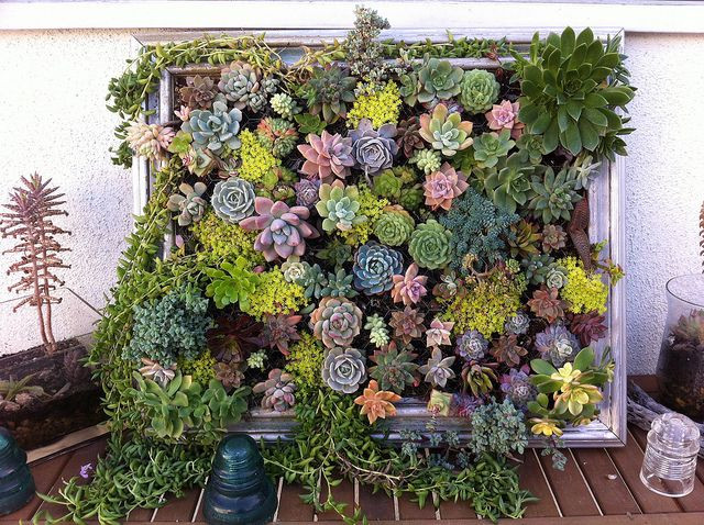 Best ideas about DIY Succulent Wall
. Save or Pin 25 Creative DIY Vertical Gardens For Your Home Now.