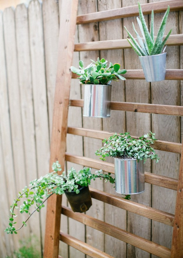 Best ideas about DIY Succulent Wall
. Save or Pin DIY Outdoor Succulent Wall Accent Now.