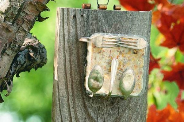 Best ideas about DIY Suet Feeder
. Save or Pin 34 Incredible DIY Bird Feeders That Will Fill Your Garden Now.