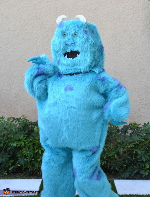 Best ideas about DIY Sully Costumes
. Save or Pin Homemade Sully Costume 2 6 Now.