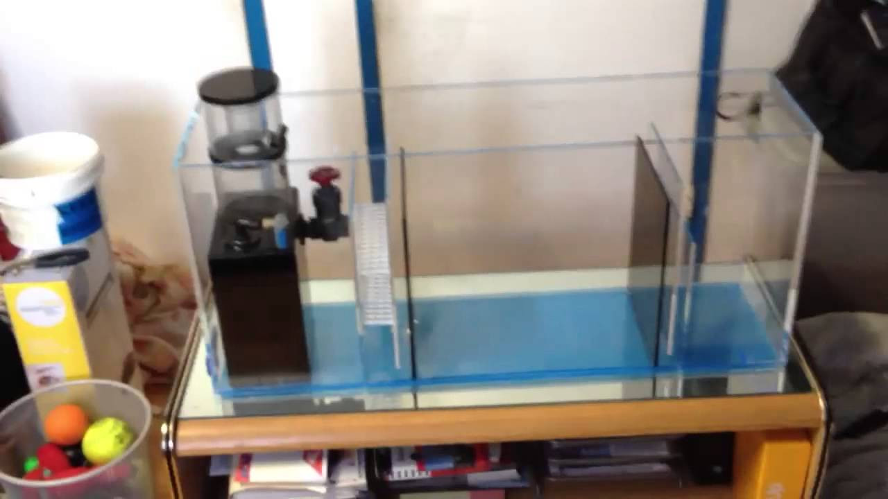 Best ideas about DIY Sump Plans
. Save or Pin DIY Sump Refugium Part 2 Customer 1 Now.