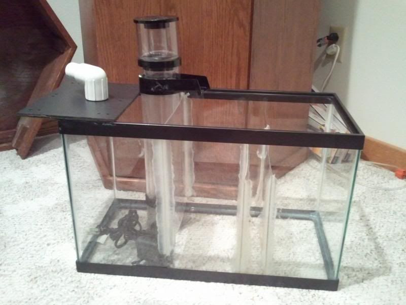 Best ideas about DIY Sump Plans
. Save or Pin Improve this 10 Gallon DIY Sump Reef Central line Now.