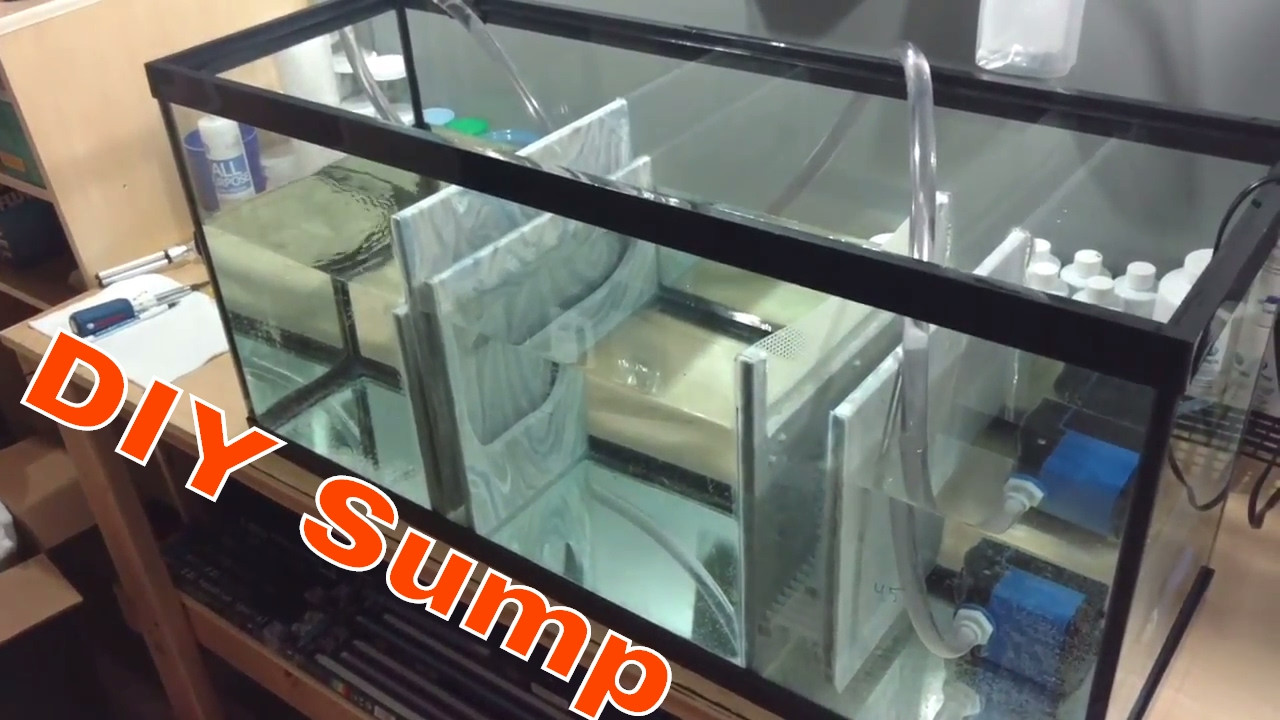 Best ideas about DIY Sump Plans
. Save or Pin DIY Sump Reef Tank Upgrade Now.
