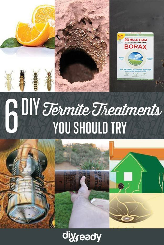 Best ideas about DIY Termite Control
. Save or Pin Termite Treatment DIY Projects Now.