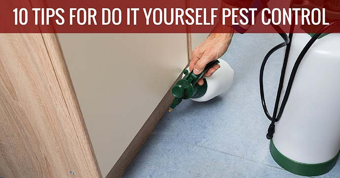 Best ideas about DIY Termite Control
. Save or Pin 10 Tips For Do It Yourself Pest Control The DIY Guide Now.
