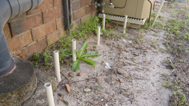 Best ideas about DIY Termite Control
. Save or Pin DIY Termite Treatment – how not to do it Conquer Now.
