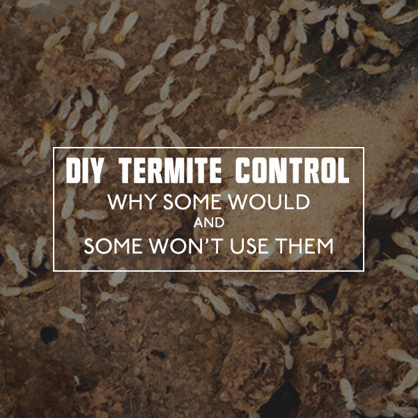 Best ideas about DIY Termite Control
. Save or Pin DIY Termite Control Why Some Would and Some Won’t Use Them Now.