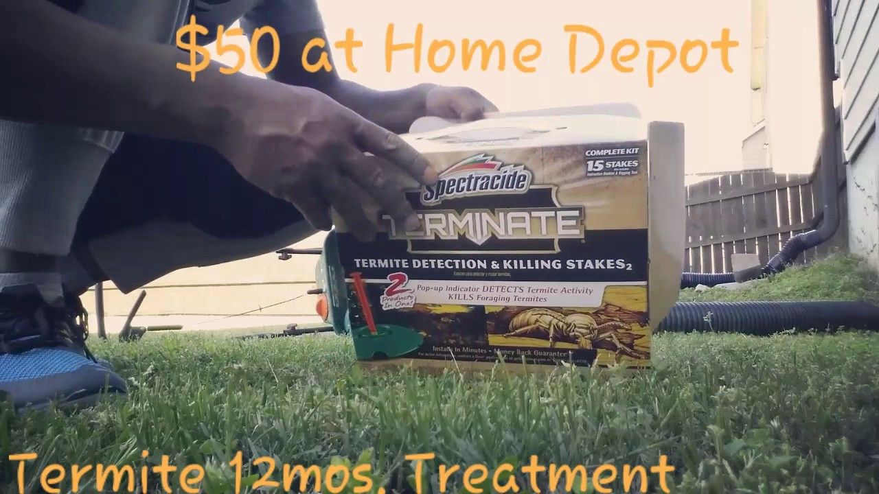 Best ideas about DIY Termite Treatment
. Save or Pin Termite do it yourself treatment Now.