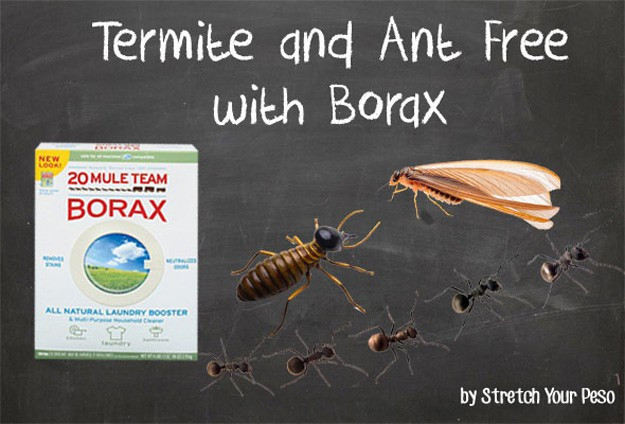 Best ideas about DIY Termite Treatment
. Save or Pin Termite Treatment DIY Projects Craft Ideas & How To’s for Now.