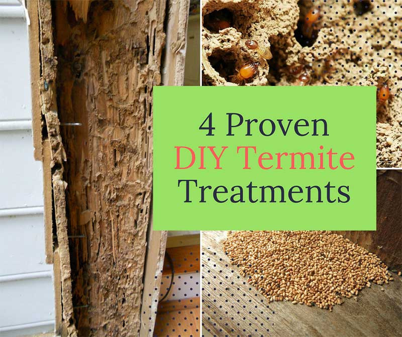 Best ideas about DIY Termite Treatment
. Save or Pin 4 Proven DIY Termite Treatments Home and Gardening Ideas Now.