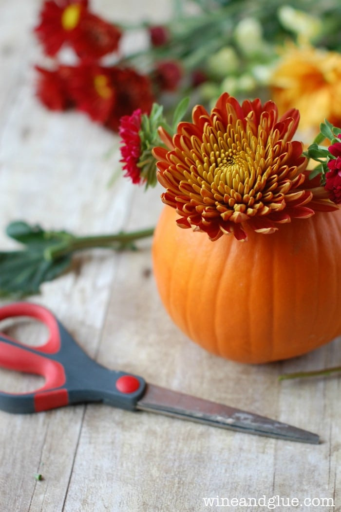 Best ideas about DIY Thanksgiving Centerpieces
. Save or Pin DIY Thanksgiving Centerpiece Wine & Glue Now.