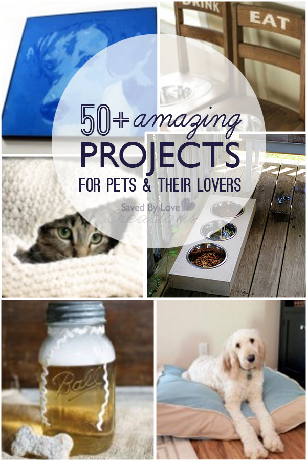 Best ideas about DIY Things To Make
. Save or Pin DIY Things to Make for Pets and Pet Lovers Now.