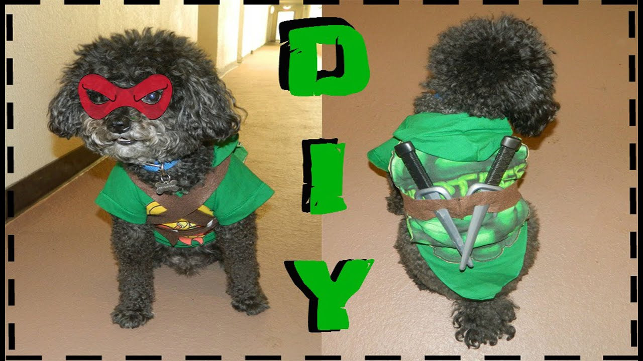 Best ideas about DIY Tmnt Costume
. Save or Pin DIY Teenage Mutant Ninja Turtle Dog Costume No Sew Now.