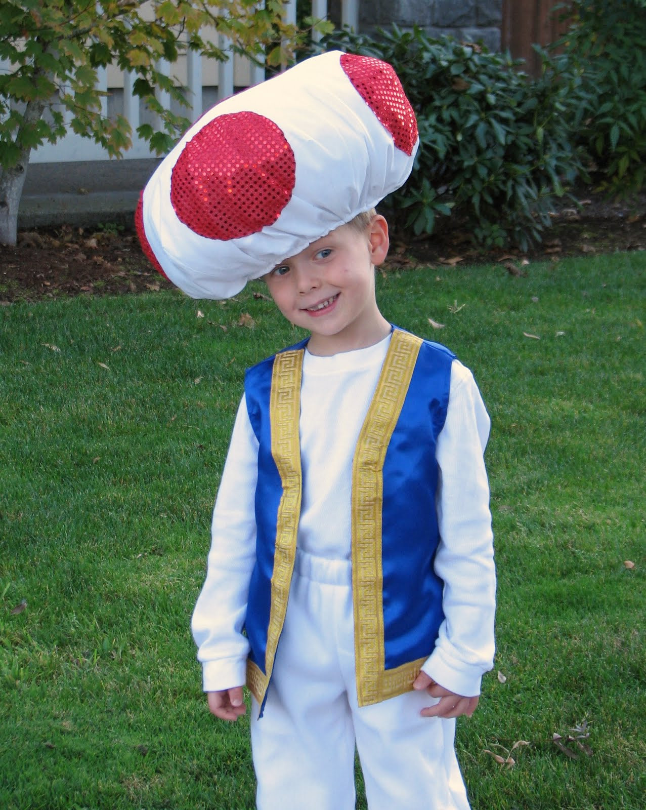 Best ideas about DIY Toad Costume
. Save or Pin Toad printables from mario Trials Ireland Now.