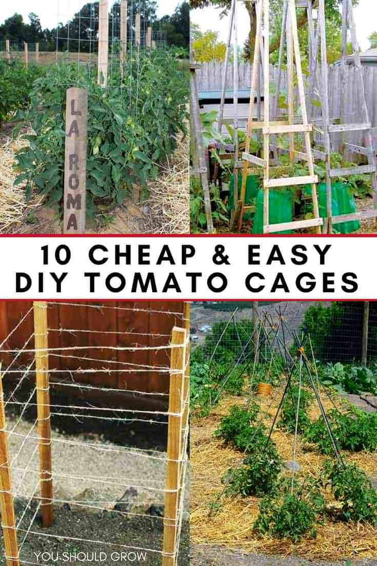 Best ideas about DIY Tomato Cage
. Save or Pin 10 Cheap & Easy Tomato Cages To DIY This Weekend You Now.