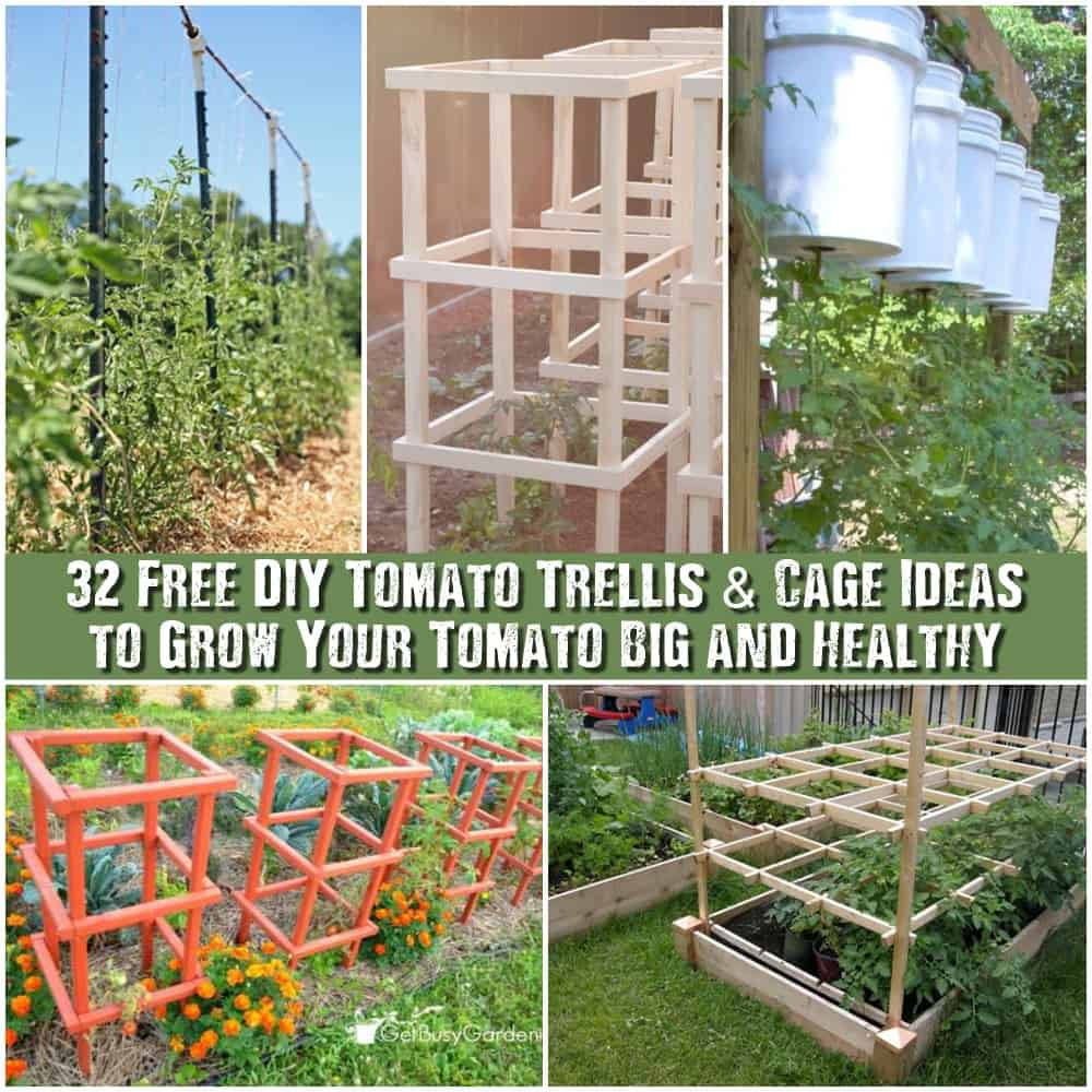 Best ideas about DIY Tomato Cage
. Save or Pin 32 Free DIY Tomato Trellis & Cage Ideas to Grow Your Now.