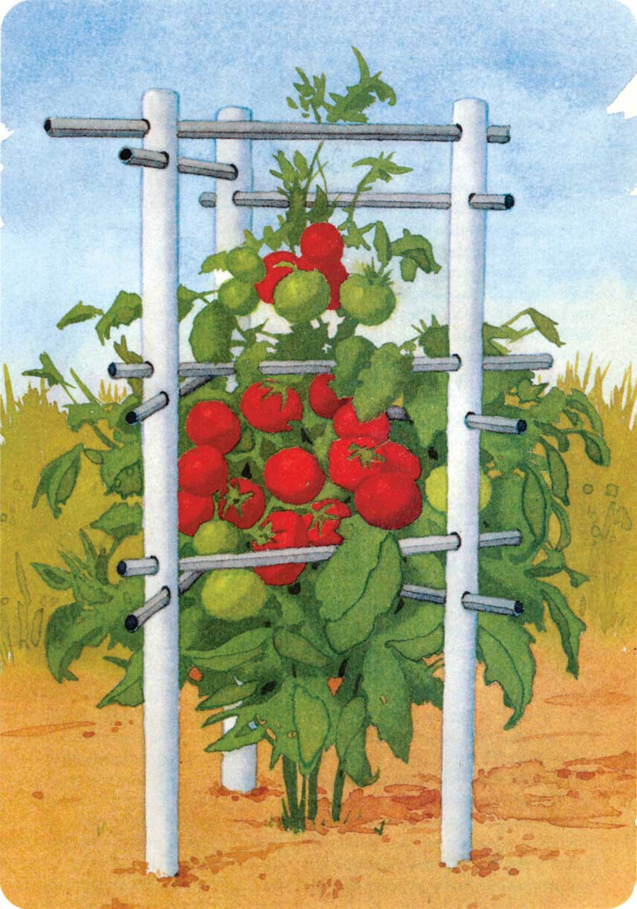 Best ideas about DIY Tomato Cage
. Save or Pin BANG Land Trust Now.