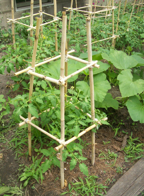 Best ideas about DIY Tomato Cage
. Save or Pin 301 Moved Permanently Now.