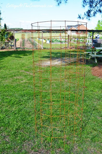 Best ideas about DIY Tomato Cages
. Save or Pin DIY Tomato Cages Cottage at the Crossroads Now.