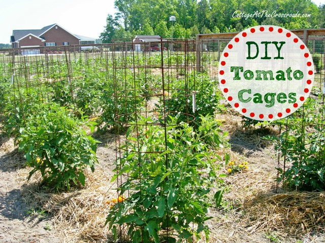 Best ideas about DIY Tomato Cages
. Save or Pin DIY Tomato Cages Cottage at the Crossroads Now.