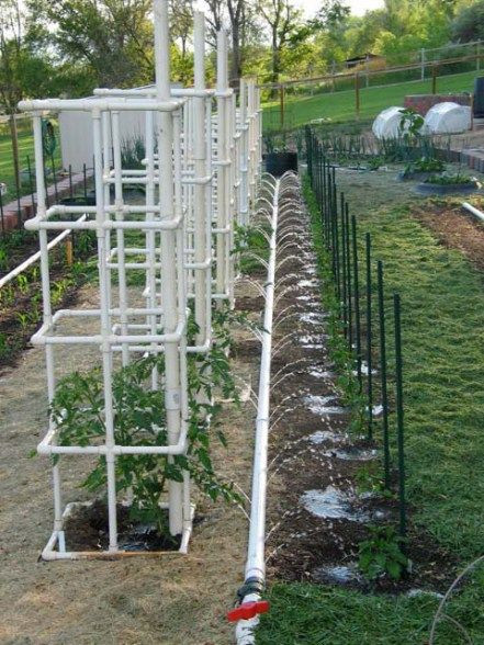 Best ideas about DIY Tomato Trellis
. Save or Pin 10 Best ideas about Tomato Trellis on Pinterest Now.