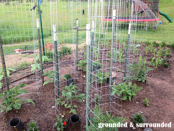 Best ideas about DIY Tomato Trellis
. Save or Pin 70 Frugal DIY Garden Resources Now.