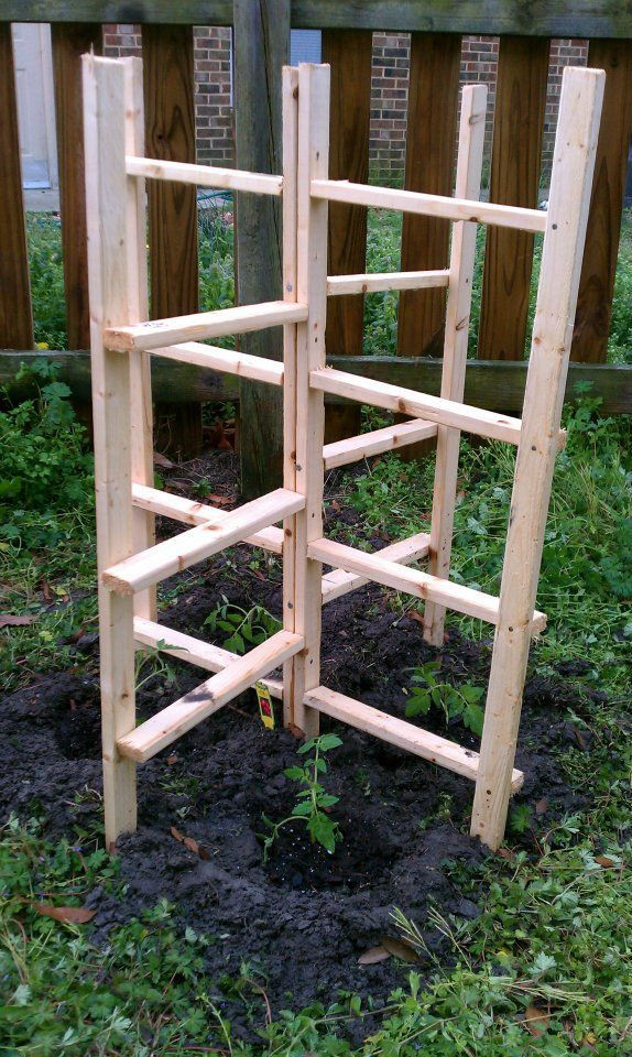 Best ideas about DIY Tomato Trellis
. Save or Pin DIY Tomato trellis Urban Garden Trellis Now.