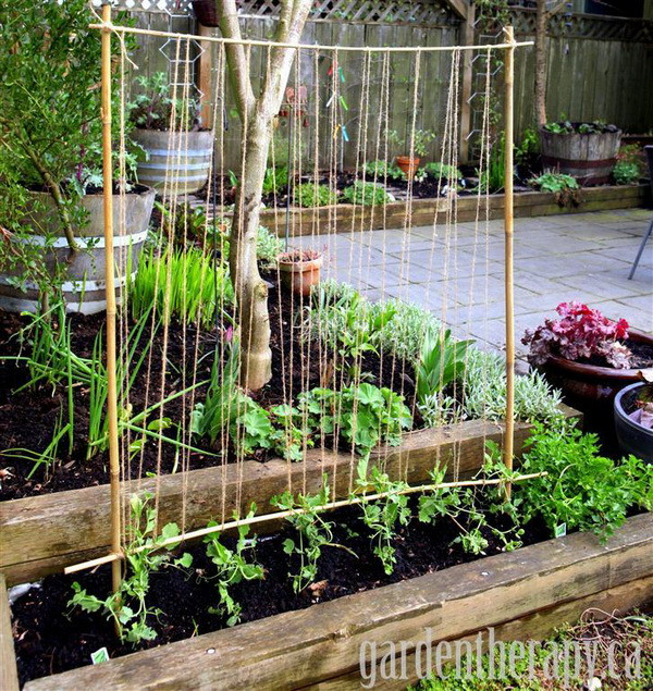 Best ideas about DIY Tomato Trellis
. Save or Pin 20 Awesome DIY Garden Trellis Projects Hative Now.