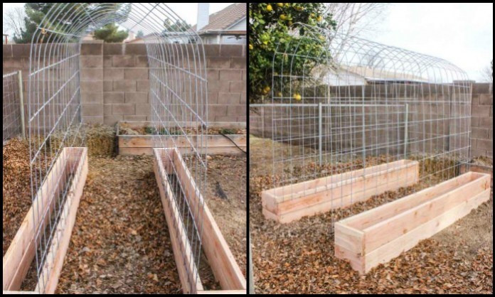 Best ideas about DIY Tomato Trellis
. Save or Pin 32 DIY Tomato Trellis & Cage Ideas for Healthy Tomatoes Now.