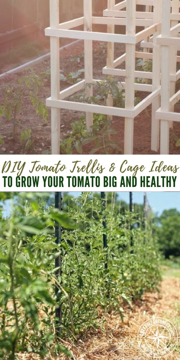 Best ideas about DIY Tomato Trellis
. Save or Pin 32 Free DIY Tomato Trellis & Cage Ideas to Grow Your Now.
