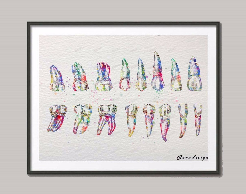 Best ideas about DIY Tooth Paint
. Save or Pin Human Tooth Original watercolor canvas painting Teeth wall Now.