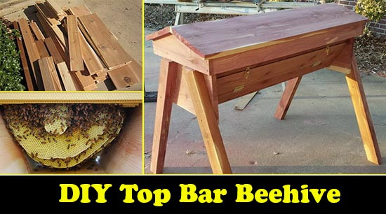 Best ideas about DIY Top Bar Hive Plans
. Save or Pin Build Your Own DIY Top Bar Beehive Now.