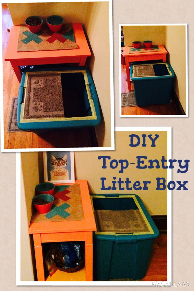 Best ideas about DIY Top Entry Litter Box
. Save or Pin 98 best images about litterbox on Pinterest Now.