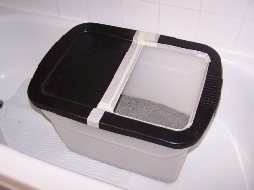 Best ideas about DIY Top Entry Litter Box
. Save or Pin DIY Top Entry Litter Box Now.