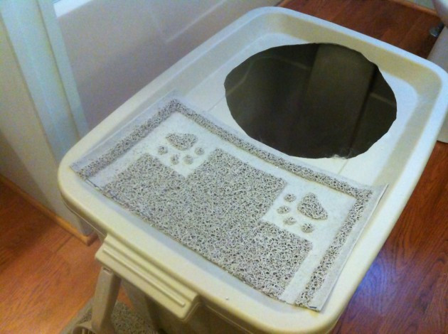 Best ideas about DIY Top Entry Litter Box
. Save or Pin DIY Project Top Entry Litter Box Now.