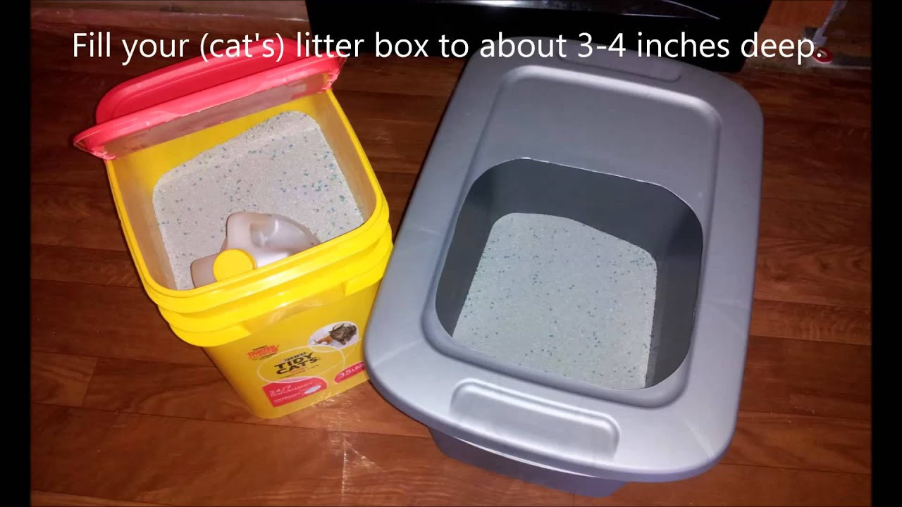 Best ideas about DIY Top Entry Litter Box
. Save or Pin DIY Top Entry Cat Litter Box For Under $5 Dollars Now.