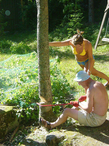 Best ideas about DIY Tree Removal
. Save or Pin Why DIY Tree Removal is Dangerous Now.