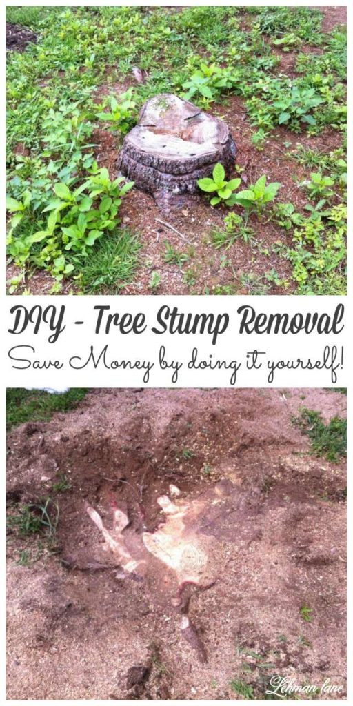 Best ideas about DIY Tree Removal
. Save or Pin DIY Tree Stump Removal Lehman Lane Now.