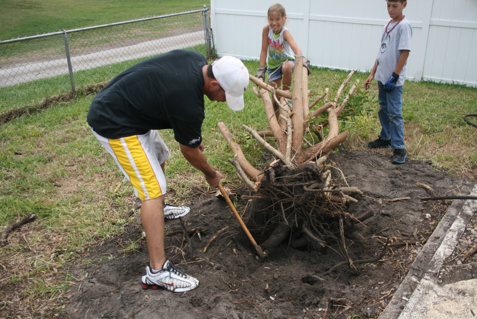 Best ideas about DIY Tree Removal
. Save or Pin From Oysters to Pearls DIY Tree Removal Now.