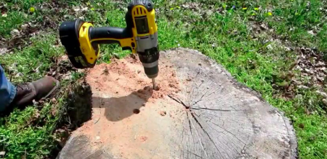 Best ideas about DIY Tree Removal
. Save or Pin Here s the easiest cheapest way to remove a tree stump on Now.