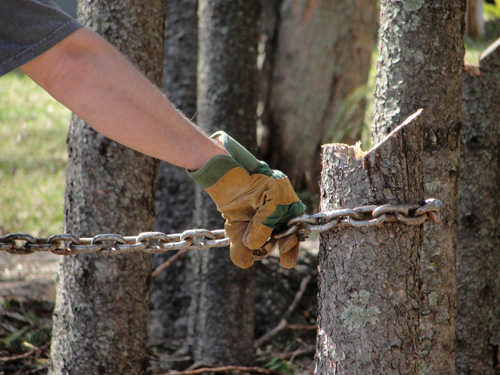 Best ideas about DIY Tree Removal
. Save or Pin DIY Stump Removal Now.